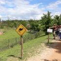 Visite guidée pour les groupes bush autralien