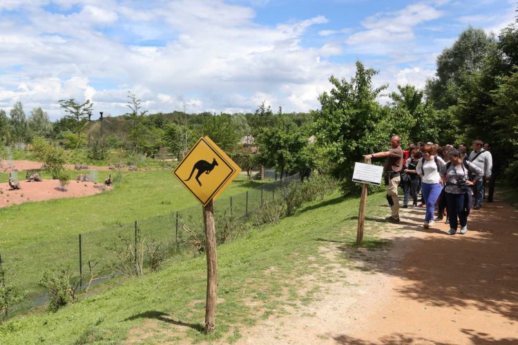 Visite guidée pour les groupes bush autralien