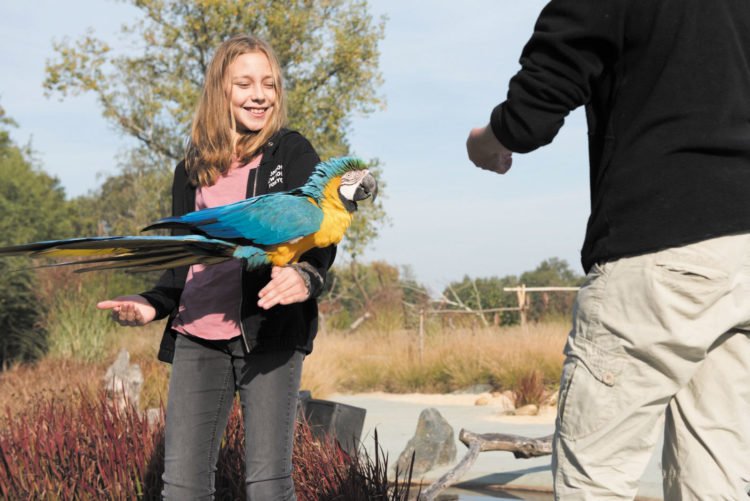 Fetez L Anniversaire De Votre Enfant Au Parc Des Oiseaux