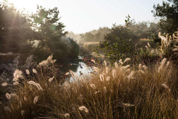 La réserve du Parc des oiseaux