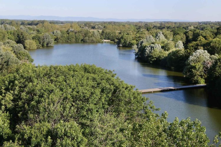 Parc des oiseaux tour panoramique