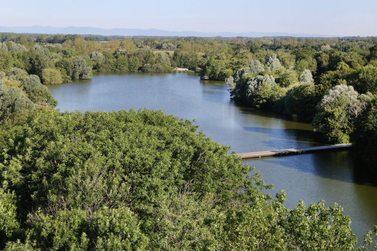 Vu du haut de la tour panoramique