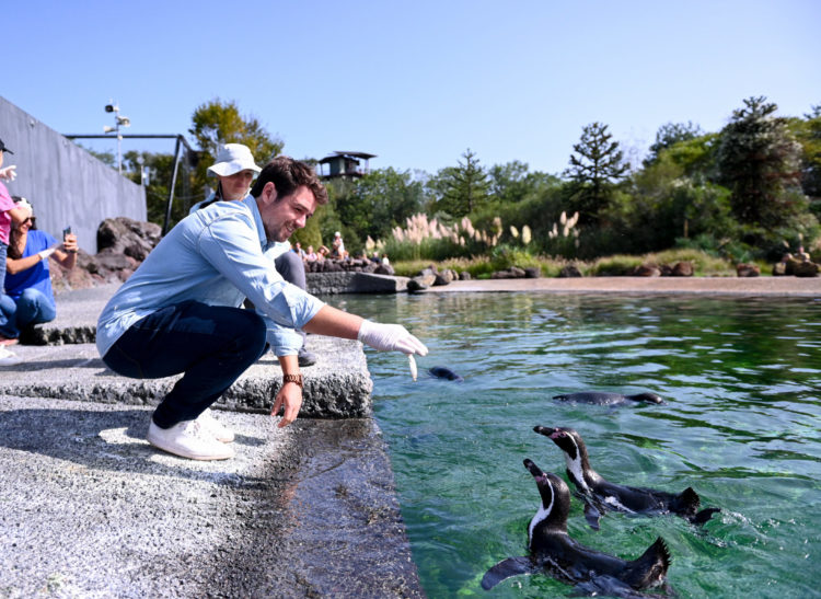 visites-guid-es-et-privil-ges-du-parc-des-oiseaux-dans-l-ain